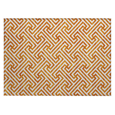 Washable Geometric Indoor / Outdoor Rug