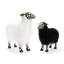 Courtly Check® Black Sheep - Small Figurine