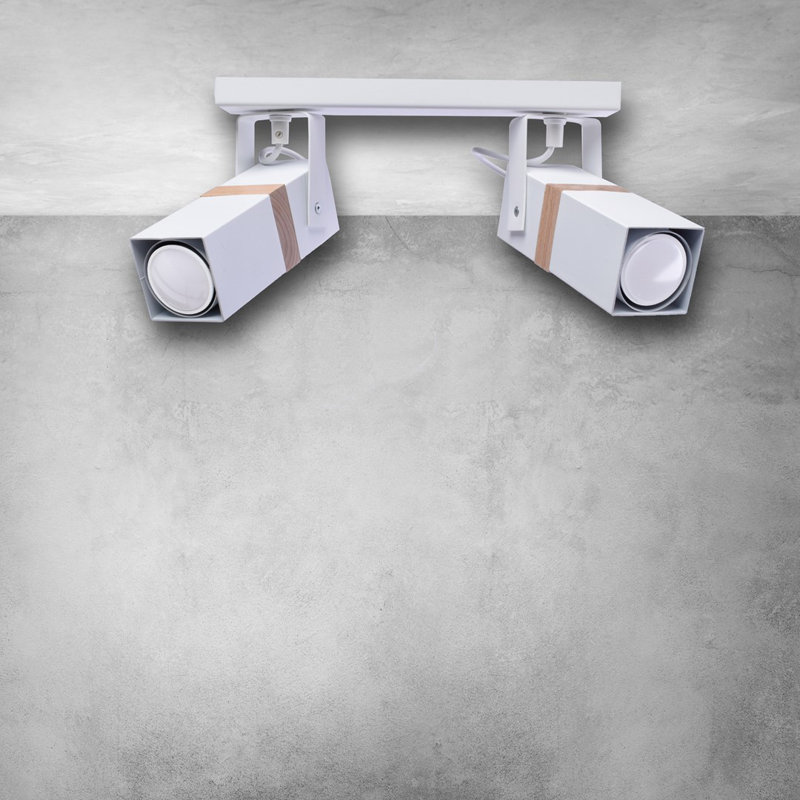 Briggsiii Spotlight, White