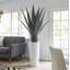 Agave d'intérieur / extérieur Panama Bannister-1274825714-1274825713