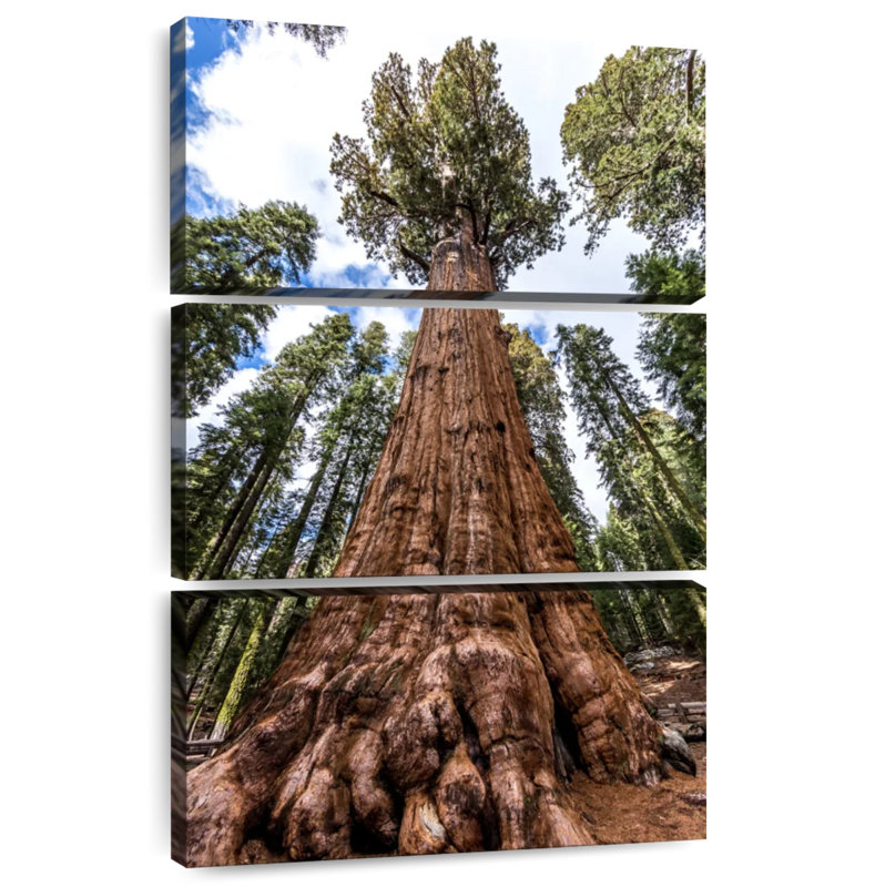 Arbre Harnek