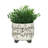 S/2 CERAMIC 6/8" SCRIBBLE FOOTED PLANTER, BEIGE