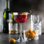 Balsamo 5.41024ml Drinking Glass Set