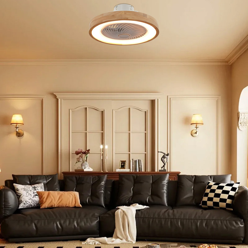 Riemy 20 " Ceiling Fan with LED Lights with Light Kit