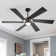 Lucienne 60'' Smart Indoor Ceiling Fan with LED Lights