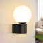 Shalesha 1-Light Black Armed Sconce
