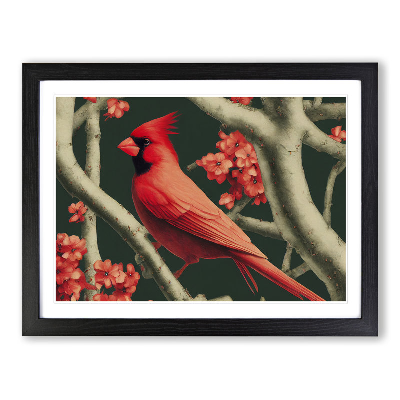 Cardinal Bird Vol.14 - Single Picture Frame Print, Black Framed, 25cm H x 34cm W x 2cm D
