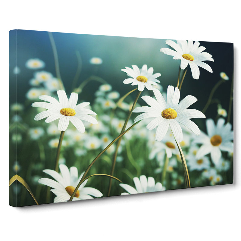 Splendorous Daisy Flowers - Wrapped Canvas, 40cm H x 60cm W x 3cm D