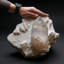 Quartz Point on white Feldspar Crystal Matrix from Himalaya Mountains, India