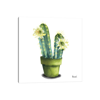 Cactus Flowers II by Bannarot - Wrapped Canvas Print