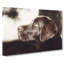Chocolate Labrador Portrait Painting - Wrapped Canvas-56658802