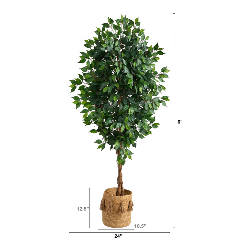 72'' Faux Ficus Tree in Burlap, Cotton Planter