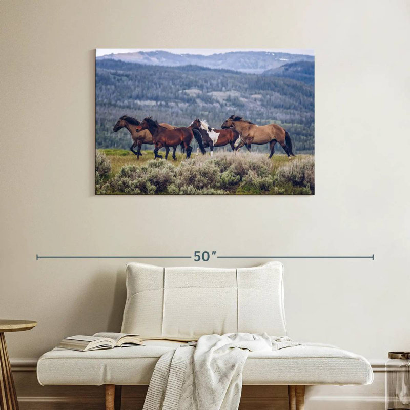 Brampt Mountain Horses