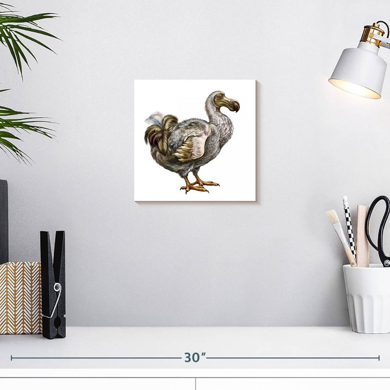 Brampt Dodo, 10" H x 10" W