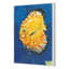Life Aquatic 4 Print by PC Ngo-401012341-401012342