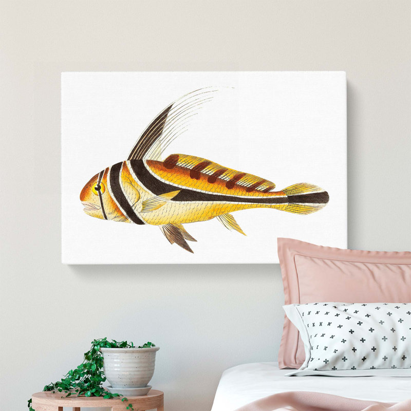 Knight Fish by George Shaw - Wrapped Canvas Painting, 35cm H x 50cm W x 3cm D