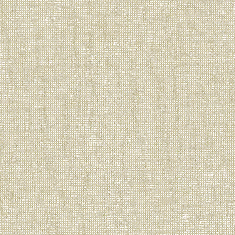 Italian Textures 4 Intreccio Congo Wallpaper, Beige
