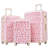Hardshell Luggage Sets 3 Pcs Spinner Suitcase With TSA Lock Lightweight-20"+24"+28" Luggages
