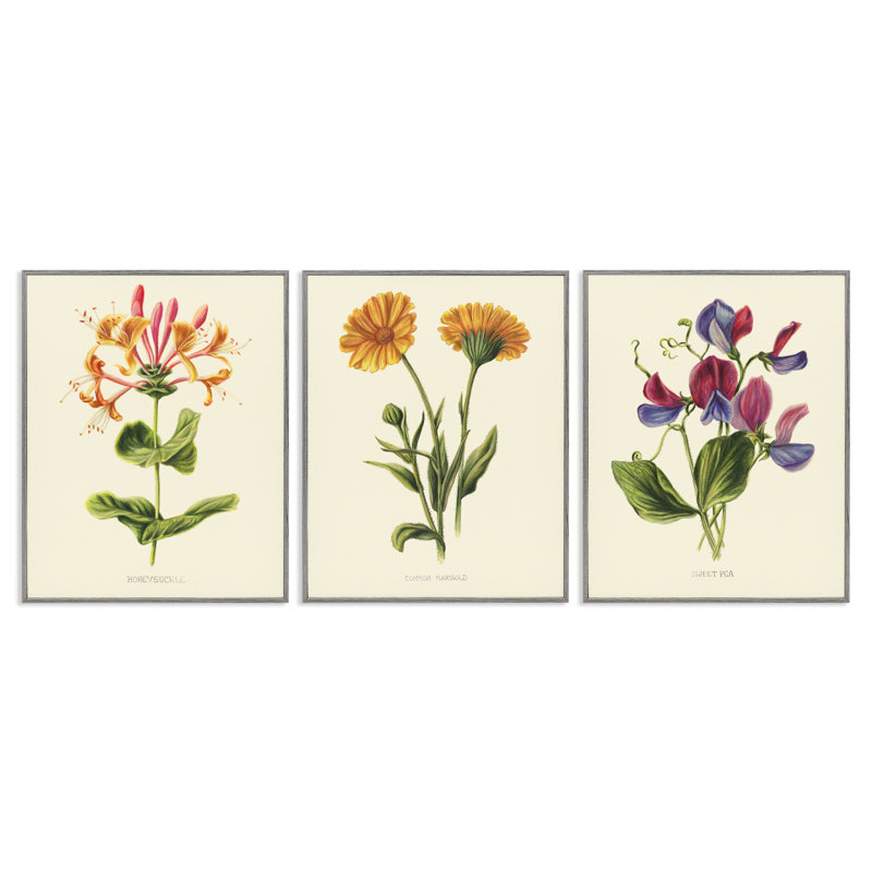 Ensemble de giclée encadrée 3 pièces Vintage Flowering Plants, conception par Connie Resch, H 20 po x l 16 po