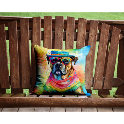  Other/No Pattern Throw Pillow