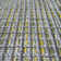 Rolland Indoor / Outdoor Area Rug