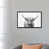 Distressed Black Frame