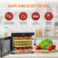 Déshydrateur d'aliments de comptoir 6 plateaux Nutrichef