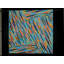 Sarcelle, corail, or par Judith Larzelere-603396496