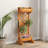 Pacchiana Vertical Garden with Trellis