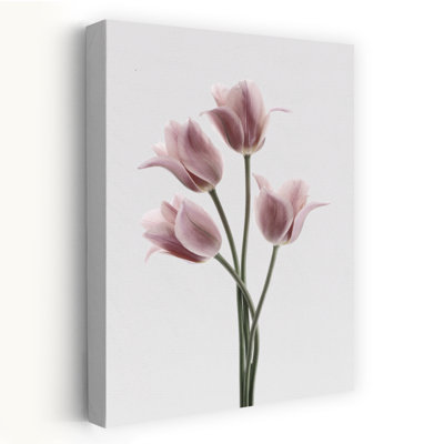 Tulips Pink Contemporary Tulip Flower Art