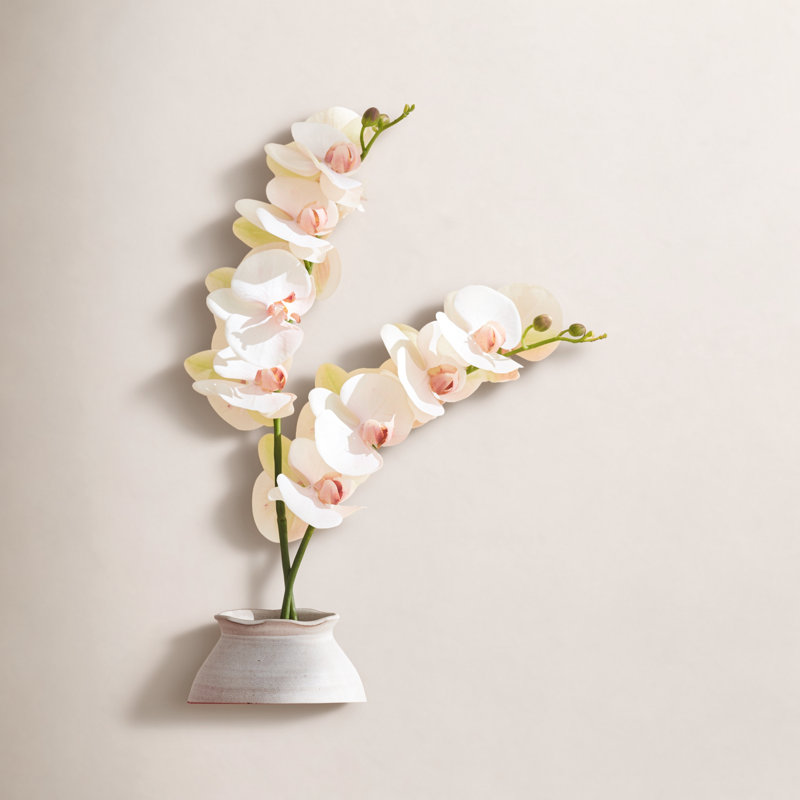 TIGE D'ORCHIDÉE PHALAENOPSIS 28 po, Rosé