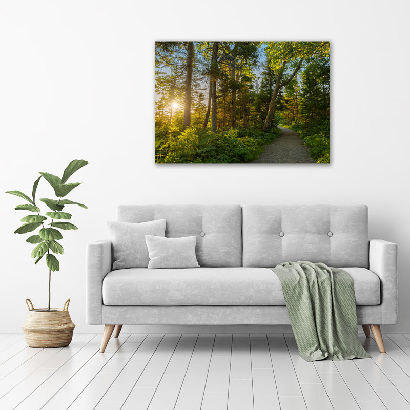 Forest - Wrapped Canvas Print