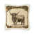 Highland Cow