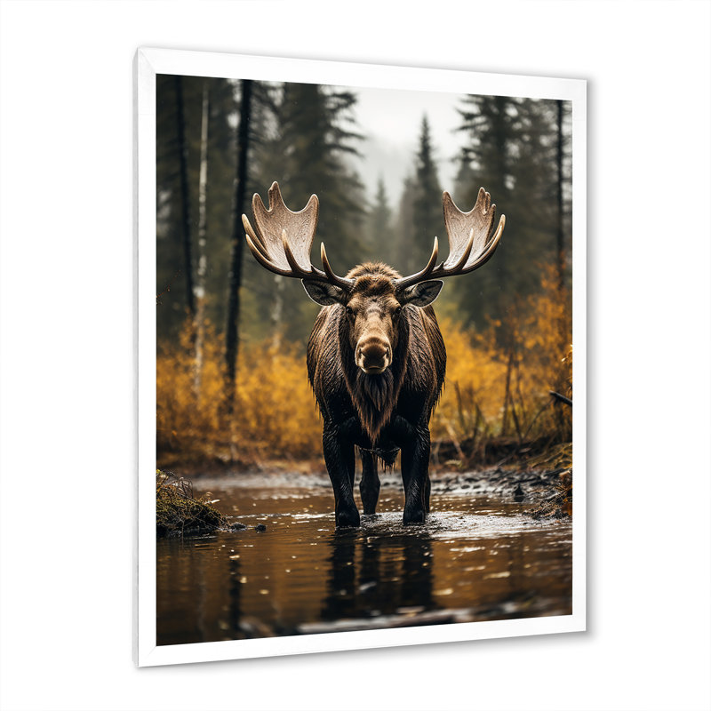 Orignal majestueux de Cammeray en Alaska - Alaska, art mural, Cadre simple blanc, H 44 po x l 34 po x P 1,5 po