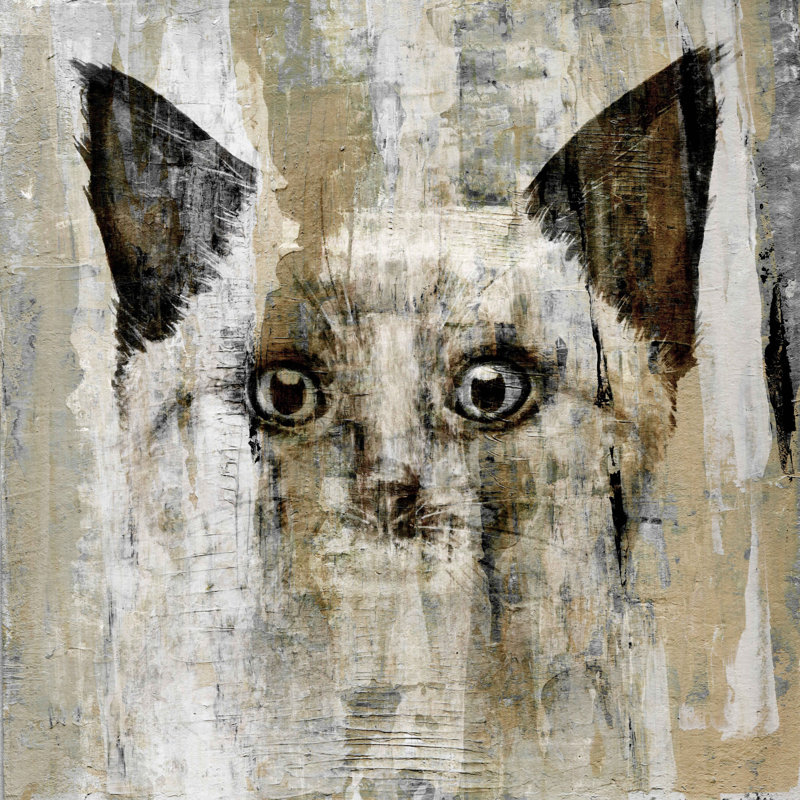 Brown-Eyed Cat 18" x 18" Beige and Black Canvas Print