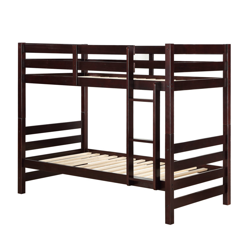 Ayton Twin over Twin Bunk Bed in White, Espresso