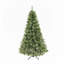 Arbres de noël
