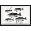 «Black and White Fish» par Julia Posokhova - impression encadrée-26601402