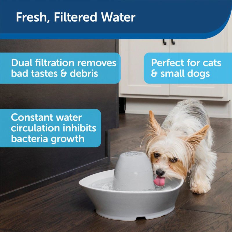 PetSafe Whisper-Quiet Ceramic Pet Water Fountain, 60 Oz