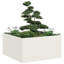 Planter 80X80x40 Cm Cold-Rolled Steel-1146400576