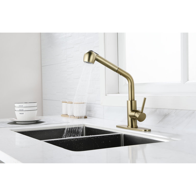 Spot Gold Stainless Utility Faucet With Single Pull-Out And Dual Spray, 360 Rotating Nozzle, Rust Stain, Ideal For Laundry Sink Spray Function In Stainless, High Water Flow Temperature Easy To