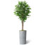 Arbre artificiel dans un pot de fleurs moderne, faux arbre en soie ficus (décoration en pot et arbre)-118317462-118317509