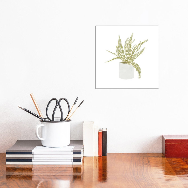 Potted Fern V by Bannarot - Wrapped Canvas Gallery-Wrapped Canvas Giclée, 30.48 cm H x 30.48 cm W