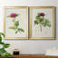 «Pretty Pink Botanicals II», ensemble de 2 impressions sur toile encadrées-1800022737-1800022747
