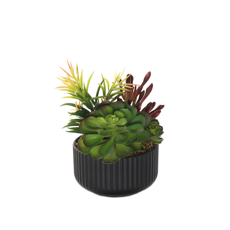 Faux Succulent, Black