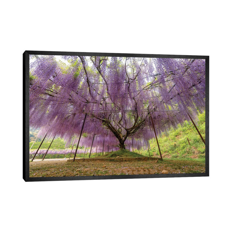 Spring in Japan XXII 1 Piece Wall Art on Canvas, 66.04cm H x 101.6cm W x 3.81cm D, Black Framed