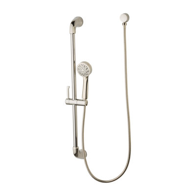 Pomme de douche multifonctionnelle