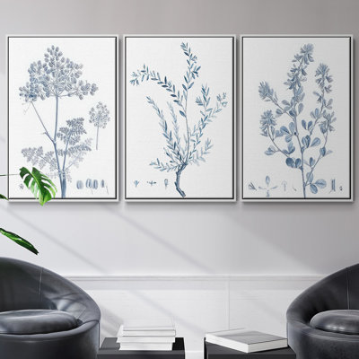 Ensemble de 3 pièces botaniques antiques encadrées sur toile IV