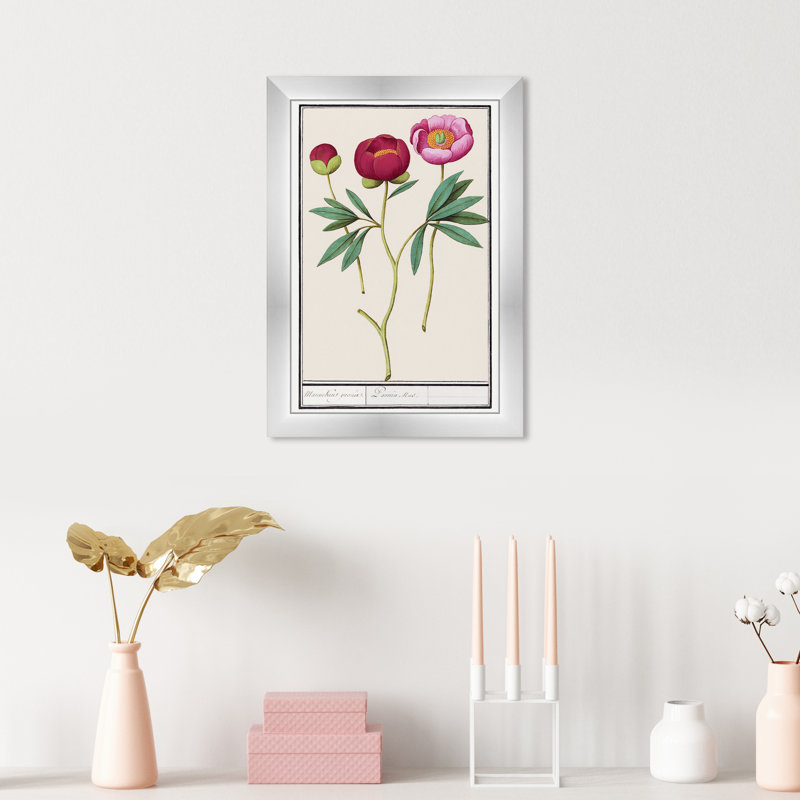 Red And Pink Peony Botanical Study by Oliver Gal, 17" H x 12" W, Silver