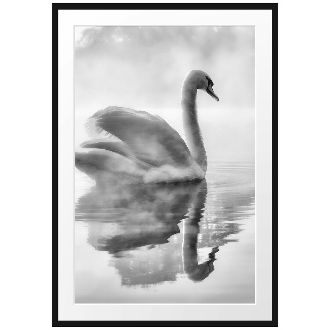 Gerahmtes Poster Schwan im Morgennebel